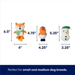Frisco Holiday Melting Snow Globe Hide & Seek Puzzle Plush Squeaky Dog Toy 8 Frisco Holiday Melting Snow Globe Hide & Seek Puzzle Plush Squeaky Dog Toy -Frisco Shop 739910 PT2. AC SS1800 V1694814063