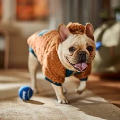 Frisco Wubby Textured Fleece Dog & Cat Hoodie W/ Pocket -Frisco Shop 742510 PT7. AC SS1800 V1692377765