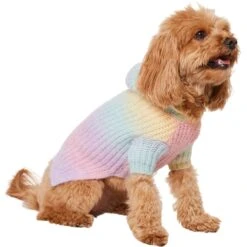 Frisco Soft Multi Stripe Ombre Dog & Cat Hooded Sweater -Frisco Shop 742838 PT2. AC SS1800 V1703194379