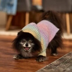 Frisco Soft Multi Stripe Ombre Dog & Cat Hooded Sweater -Frisco Shop 742838 PT7. AC SS1800 V1692376365