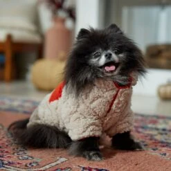 Frisco Medium Weight Quilted Sherpa Dog & Cat Zipper Coat -Frisco Shop 744166 PT7. AC SS1800 V1692377763