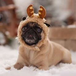 Frisco Sherpa Reindeer Dog & Cat Hat With Bells -Frisco Shop 745646 PT5. AC SS1800 V1694795597