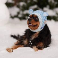 Frisco Nordic Ears Sweater Knit Dog & Cat Hat -Frisco Shop 745710 PT5. AC SS1800 V1695671059