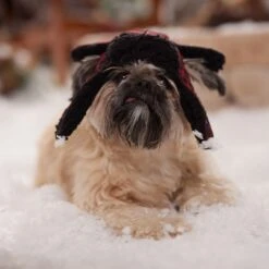 Frisco Tartan Plaid Dog & Cat Trapper Hat -Frisco Shop 746750 PT5. AC SS1800 V1694800749