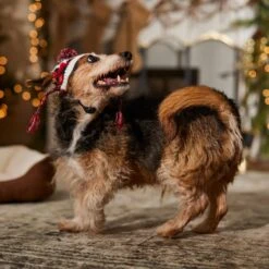 Frisco Nordic Pawprint Dog & Cat Hat 12 Frisco Nordic Pawprint Dog & Cat Hat -Frisco Shop 746782 PT5. AC SS1800 V1694799891