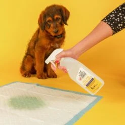 Skout's Honor Dog Pee Pad Refresher Spray, 28-oz Bottle & Frisco Washable Dog Potty Pads -Frisco Shop 772958 PT4. AC SS1800 V1676749044