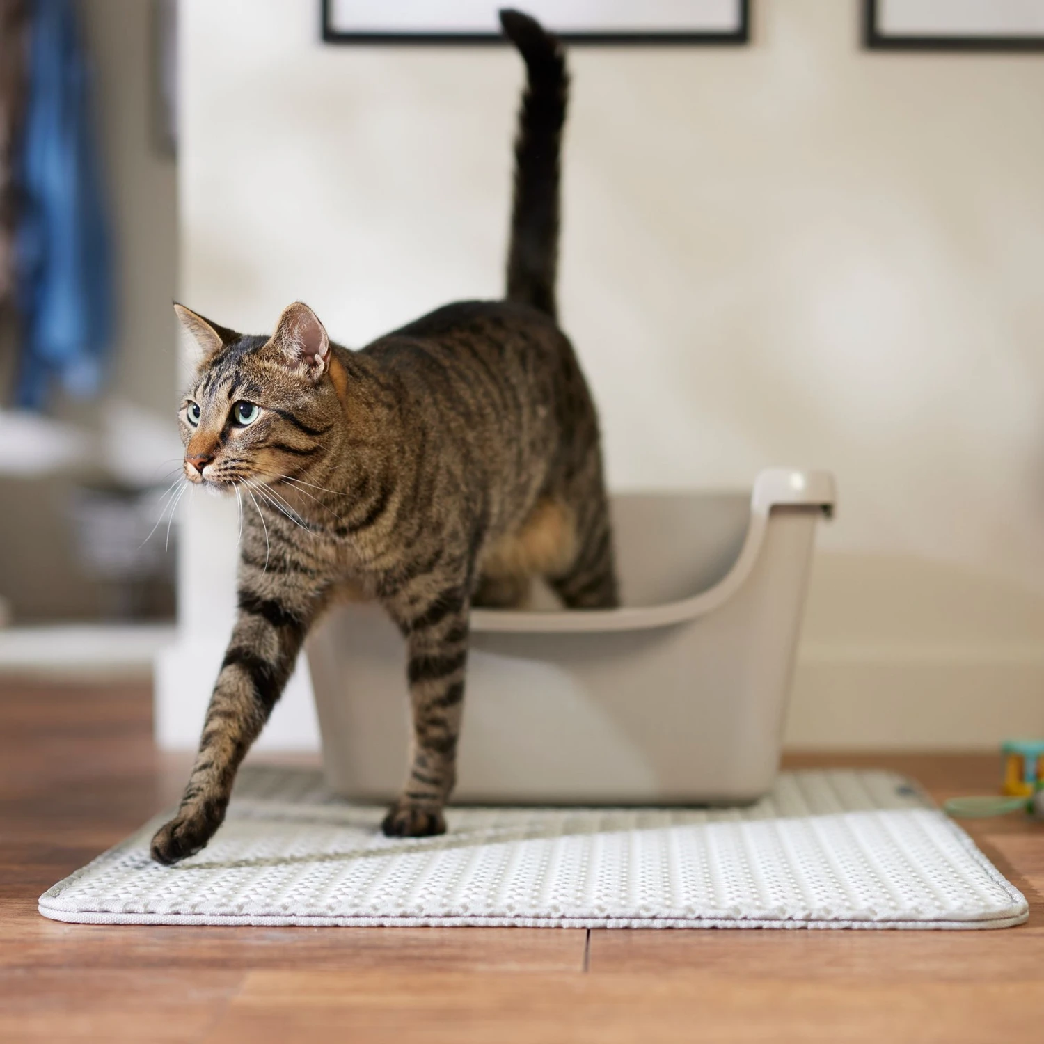 Frisco Cat Litter Trapping Mat 5 Frisco Cat Litter Trapping Mat - Image 5