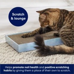Frisco Double-Wide Cat Scratcher Toy Refill With Catnip, 2 Count & Frisco Double-Wide Cat Scratcher Toy With Catnip -Frisco Shop 933566 PT7. AC SS1800 V1692304490