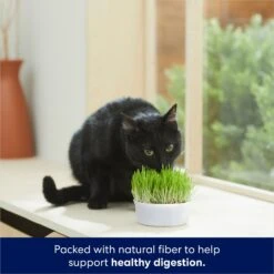 Frisco Natural Cat Grass Growing Kit -Frisco Shop 944102 PT3. AC SS1800 V1701364933