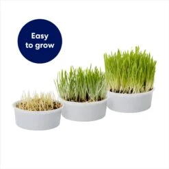 Frisco Natural Cat Grass Growing Kit -Frisco Shop 944102 PT4. AC SS1800 V1701364932