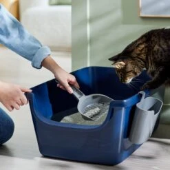 Frisco Open Top Cat Litter Box With Rim, Large & Frisco Plastic Litter Scooper With Caddy -Frisco Shop 947526 PT5. AC SS1800 V1693924259