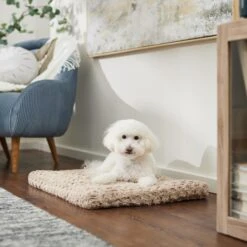 Frisco Double Door Furniture Style Dog Crate, Black & Frisco Swirl Dog Crate Mat -Frisco Shop 947710 PT5. AC SS1800 V1693921603