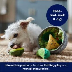 Frisco Trash Can & Raccoons Hide & Seek Puzzle Plush Squeaky Dog Toy & Frisco Guacamole Hide & Seek Puzzle Plush Squeaky Dog Toy -Frisco Shop 962062 PT8. AC SS1800 V1694783037