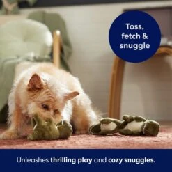 Frisco Volcano Hide & Seek Puzzle Plush Squeaky Dog Toy Refills, 3 Count & Frisco Volcano Hide & Seek Puzzle Plush Squeaky Dog Toy -Frisco Shop 962078 PT4. AC SS1800 V1694782978