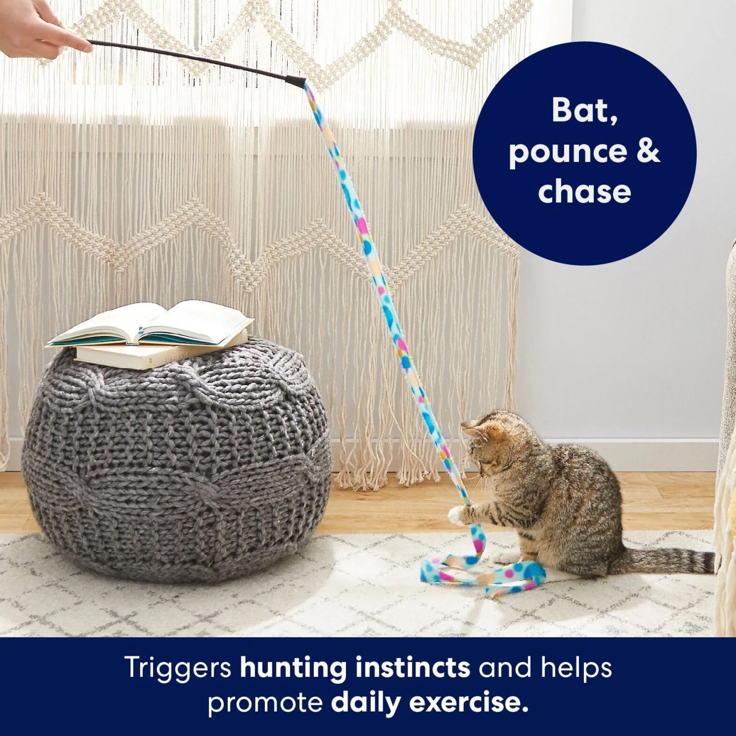 Frisco Fabric Teaser Wand Cat Toy & Frisco Bird With Feathers Teaser Wand Cat Toy With Catnip 4 Frisco Fabric Teaser Wand Cat Toy & Frisco Bird With Feathers Teaser Wand Cat Toy With Catnip - Image 4