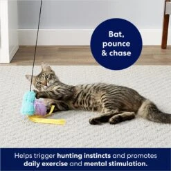 Frisco Colorful Springs Cat Toy & Frisco Bird With Feathers Teaser Wand Cat Toy With Catnip 17 Frisco Colorful Springs Cat Toy & Frisco Bird With Feathers Teaser Wand Cat Toy With Catnip -Frisco Shop 962126 PT8. AC SS1800 V1694782921