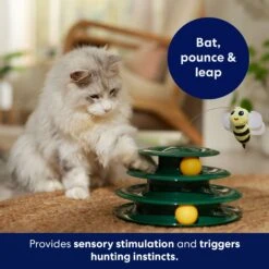 Frisco Butterfly Cat Tracks Cat Toy & Frisco Bee & Leaf Cat Tracks Cat Toy With Catnip -Frisco Shop 971574 PT8. AC SS1800 V1696338235