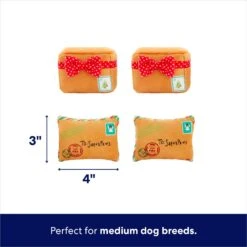 Frisco Holiday Hot Cocoa Hide & Seek Puzzle Plush Squeaky Dog Toy & Frisco Holiday North Pole Mailbox Hide & Seek Puzzle Plush Squeaky Dog Toy -Frisco Shop 986166 PT7. AC SS1800 V1698258463