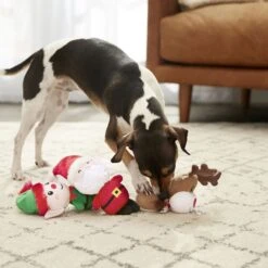 Frisco Holiday Santa's Helpers Plush Squeaky Dog Toy, 3 Count & Frisco Holiday Lights Plush With Rope Squeaky Dog Toy 11 Frisco Holiday Santa's Helpers Plush Squeaky Dog Toy, 3 Count & Frisco Holiday Lights Plush With Rope Squeaky Dog Toy -Frisco Shop 986206 PT4. AC SS1800 V1698257788