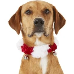 Frisco Holiday Dog & Cat Santa Hat, 1 Count & Frisco Jingle Bells Dog & Cat Holiday Collar With Bells, 1 Count 16 Frisco Holiday Dog & Cat Santa Hat, 1 Count & Frisco Jingle Bells Dog & Cat Holiday Collar With Bells, 1 Count -Frisco Shop 986254 PT7. AC SS1800 V1698258115