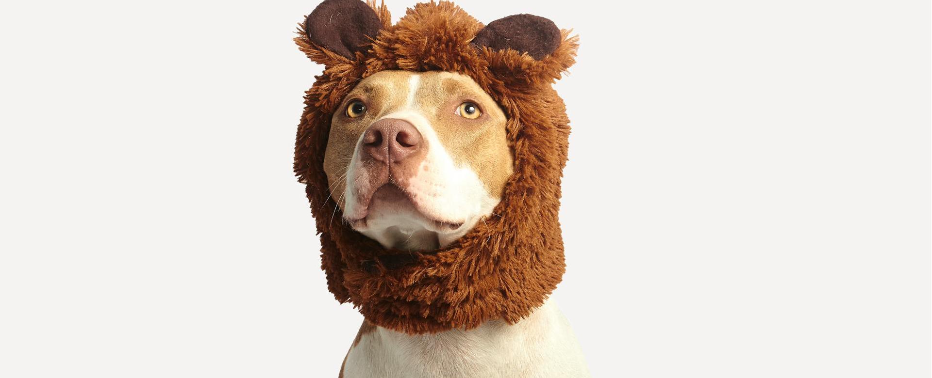 Frisco Shop -Frisco Shop pexels gilberto reyes 259461 825949